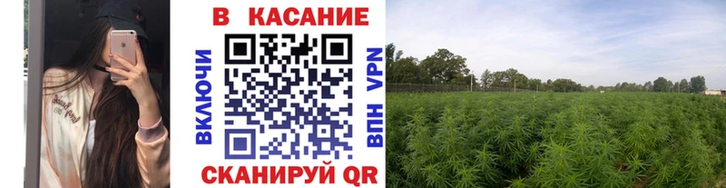 Магазины продажи наркотиков Балашов Alpha-PVP  АМФЕТАМИН  МЕТАДОН  MEGA маркетплейс  Канабис  ГАШИШ 