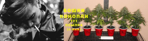 амф Богородицк