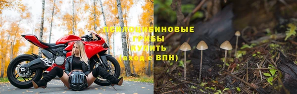спиды Балахна